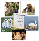 Teddo PLay Learning Cards - Parent and Young Ones
