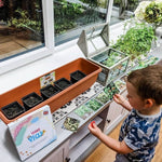 Teddo PLay Learning Cards - Where Our Food Grows