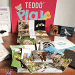 Teddo PLay Learning Cards - Birds of Prey, Wild Animals, Farm Animals & Insects (spelling edition)